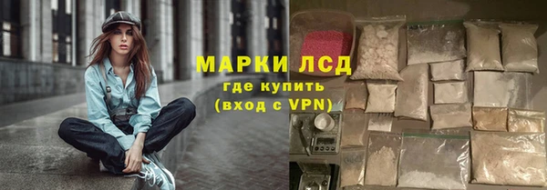 эйфоретик Алзамай