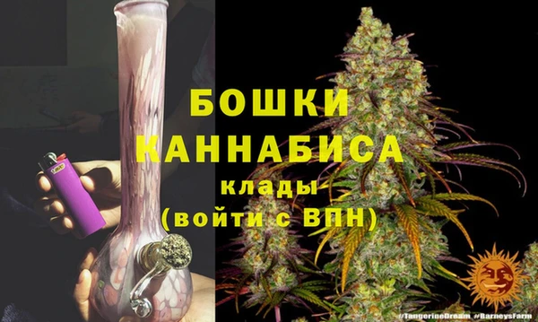 шишки Алексеевка