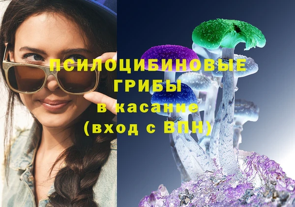 шишки Алексеевка
