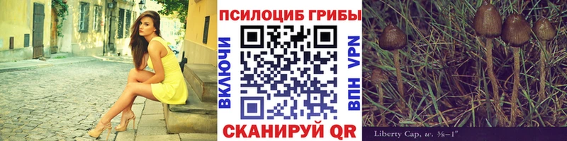 Псилоцибиновые грибы Cubensis  сколько стоит  Бобров 